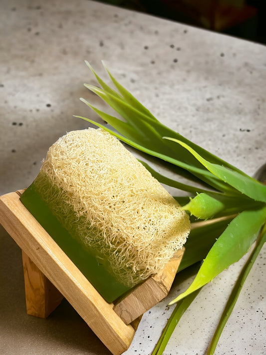 Natürliche Kürbisfaser Aloe Vera