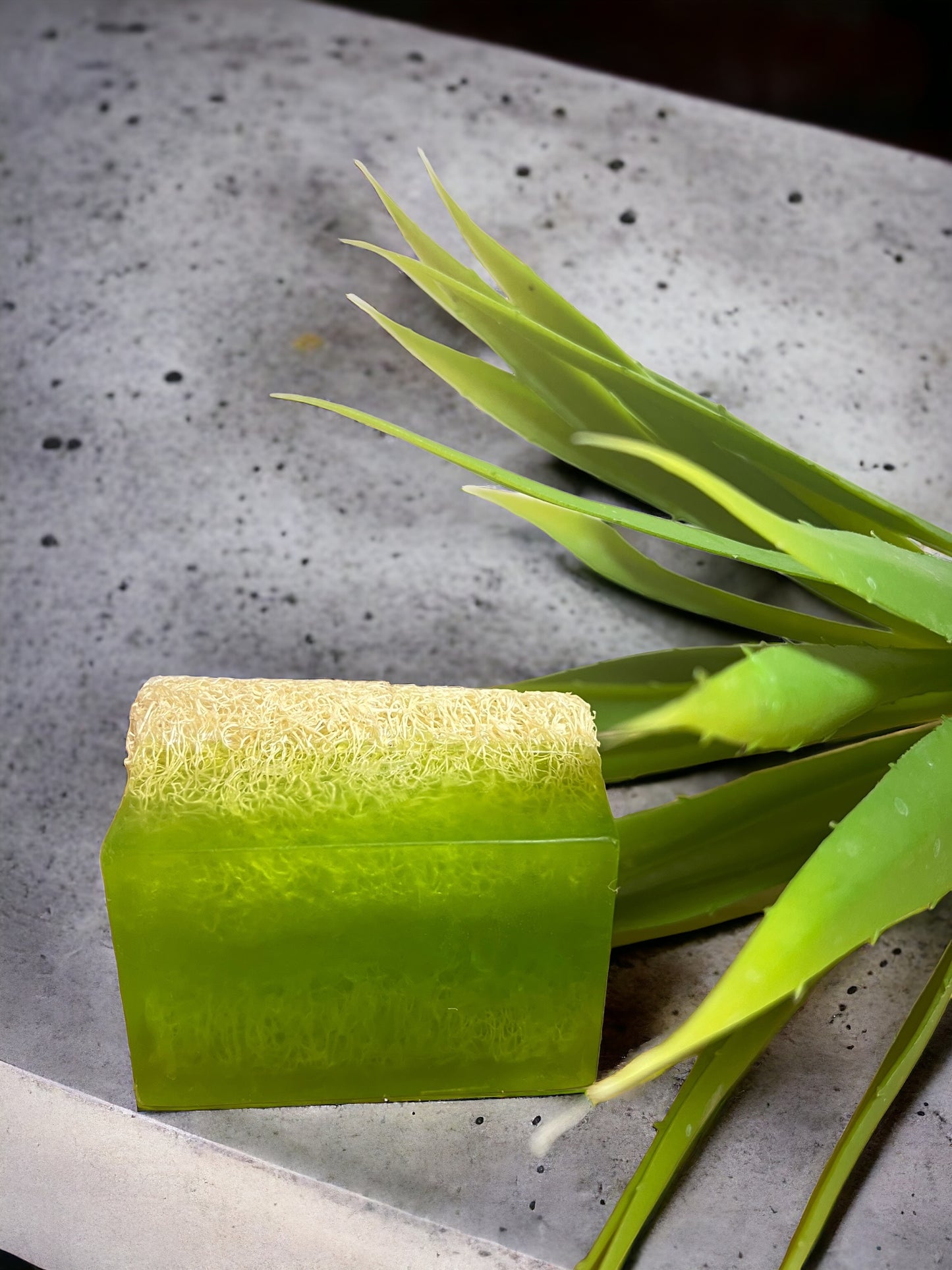 Natürliche Kürbisfaser Aloe Vera